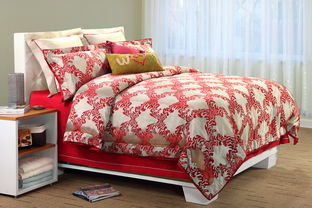 縵狄雅藍家紡產品與加盟店發(fā)展探析